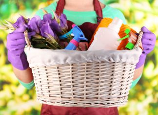 Top Ten Places for Spring Cleaning spring cleaning