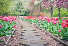 Time to Get Outside! Top Ten Places to Start Spring Top Ten Places to Start Spring