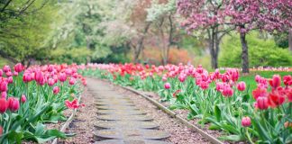 Time to Get Outside! Top Ten Places to Start Spring Top Ten Places to Start Spring