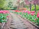 Time to Get Outside! Top Ten Places to Start Spring Top Ten Places to Start Spring