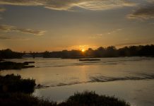 Magnificent Metroparks Metroparks Toledo at Dawn