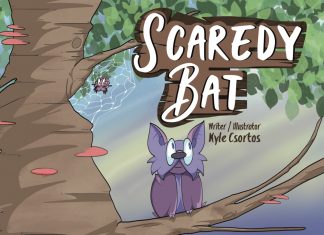 Local Illustrator Flies Solo