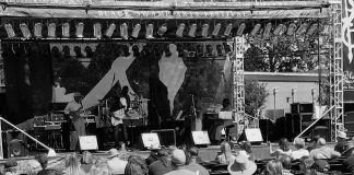 Black Swamp Arts Festival 2019 Black Swamp Arts Festival