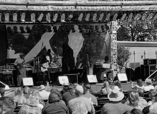 Black Swamp Arts Festival 2019 Black Swamp Arts Festival