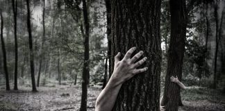 Scariest Haunted Houses haunted houses