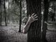 Scariest Haunted Houses haunted houses