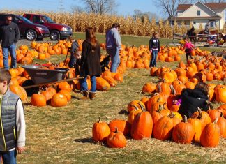 Pumpkin Patches in the Toledo Area 2022