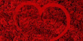 Valentine’s Day Guide Valentines Day Gift Guide 2020