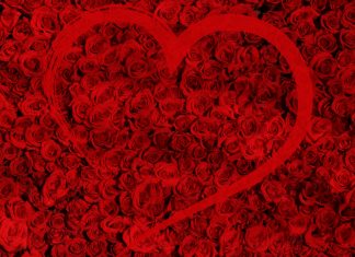 Valentine’s Day Guide Valentines Day Gift Guide 2020