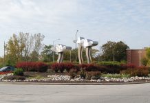 Travel the Maumee: Going Green in South Toledo
