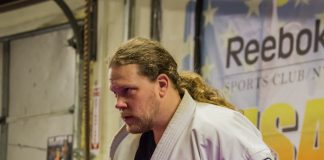 The Art in Martial Arts