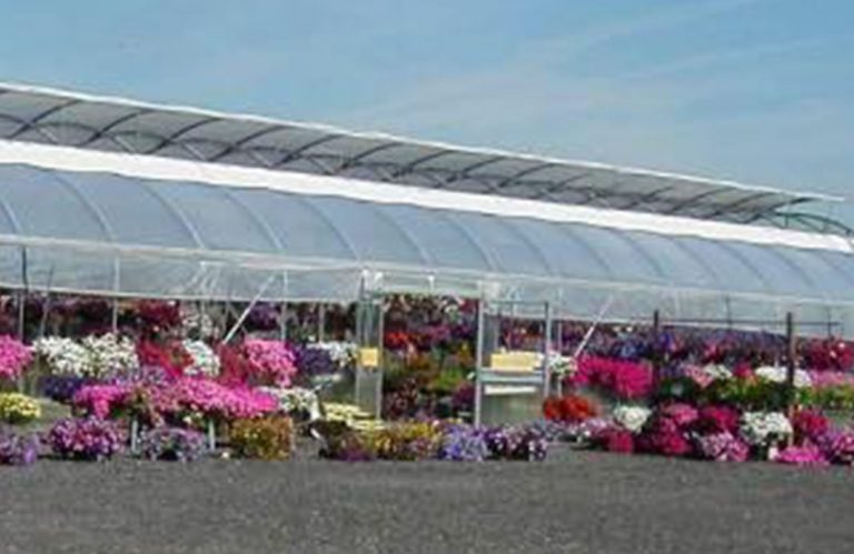 Fitkins Greenhouse 768x499