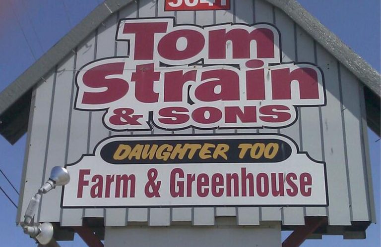 Tom Strain Sons and Daughter Too 768x499
