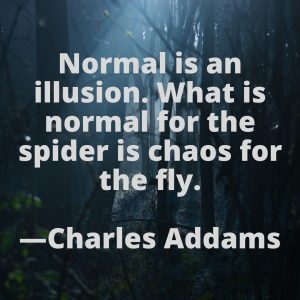 Haunted House Quote on Normalcy