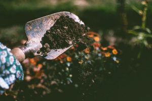 Gardening with Flowers