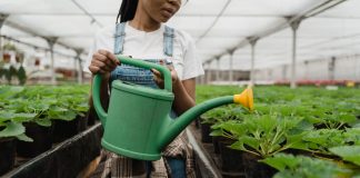 Spring Has Sprung: Garden Season is Here Local Garden Centers and Nurseries