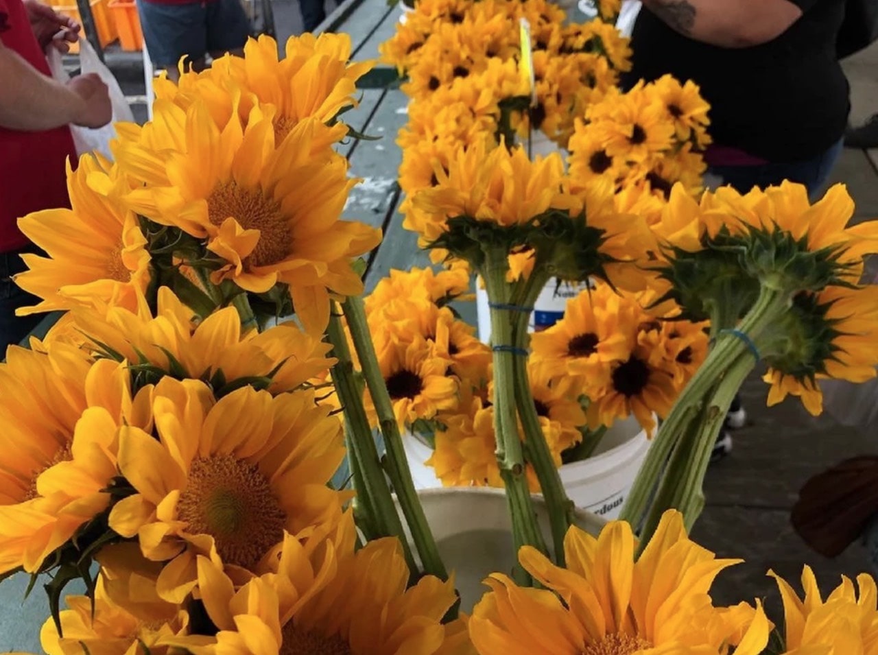 Flower Day Toledo Farmers Market