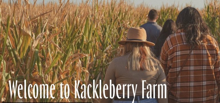 Knackleberry Farm min 768x361