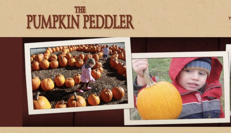 pumpkin peddler min 768x444