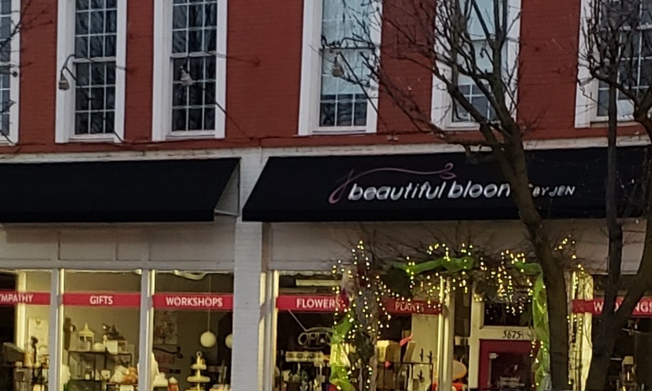 Beautiful Blooms by Jen Right Size Life